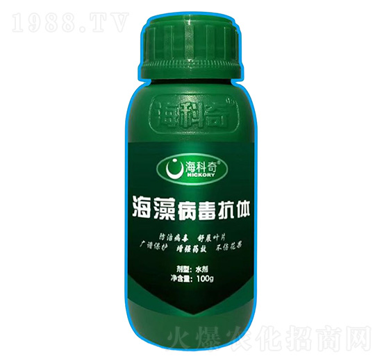 ���岡�����w-������