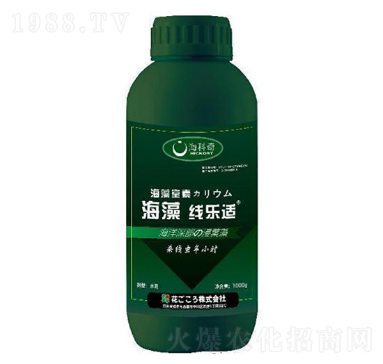 ���往��(l��)�m-������