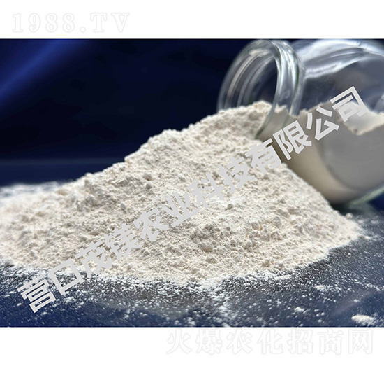 ���V�ʷ�ĩ-ï�V�r�I(y��)