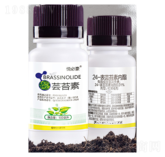 0.01%24-���|̦�؃���-���غ�-����S