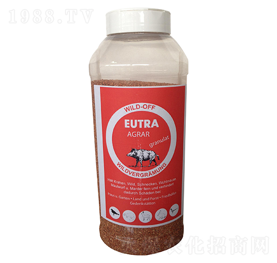 ����-��(gu��)ԭ�b�M(j��n)��-����