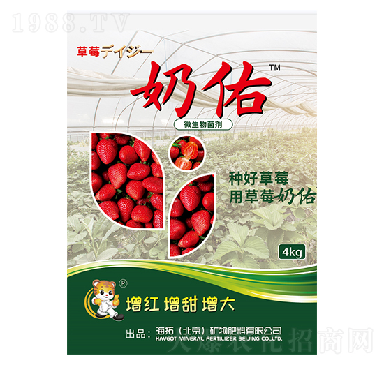 ΢�������-��ݮ����-����