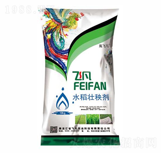 13kgˮ�����턩-�w��-�w���r(n��ng)�I(y��)