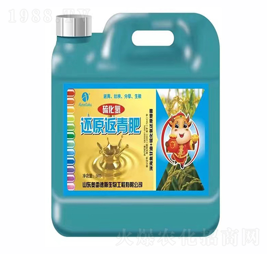 �򻯚�߀ԭ�����-�W�׵�˹