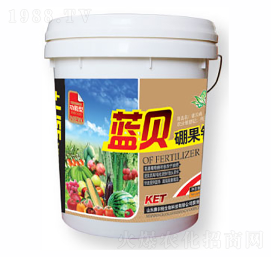 �{ؐ����}-������