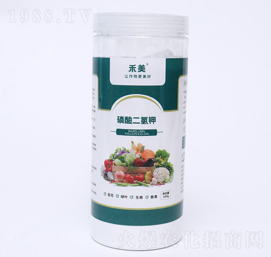 ��������-��������