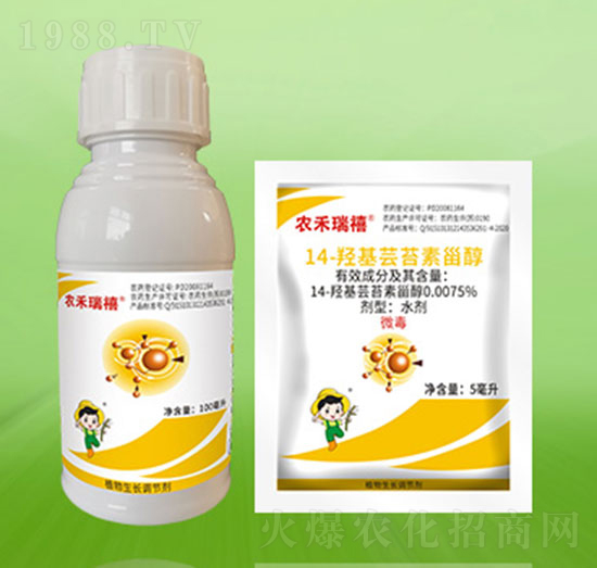 14-�u���|̦���޴�-�r������-�º��S