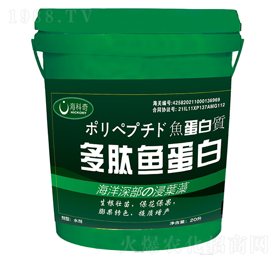 �����~����-������