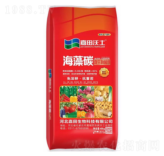 ΢�������-����̼-��������