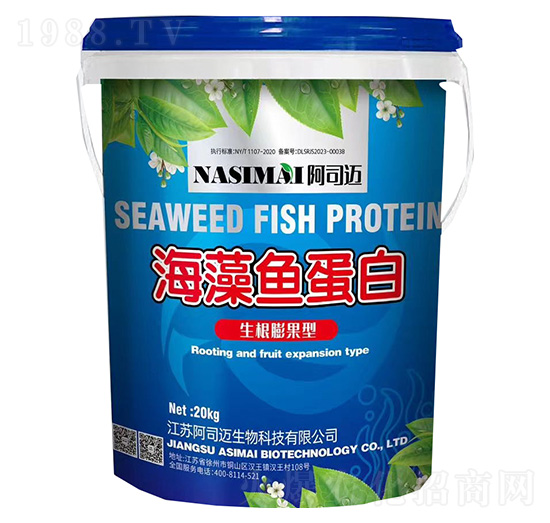 ��������ͺ����~����-asm