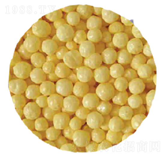 �ۺ������������-�r(n��ng)��ʘI(y��)