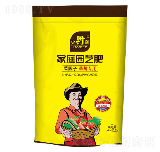 ��ͥ�@ˇ�ͺϷ�-��ݮ����-ʷ����