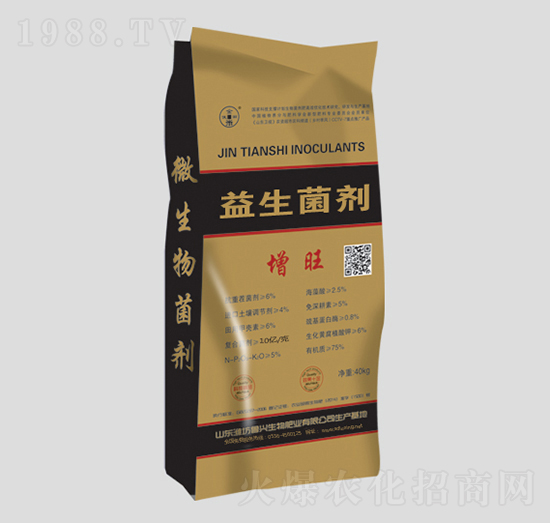 40kg��������-����-���d����