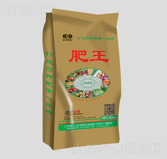 ������͏�(f��)�Ϸ�16-10-30-����-���d����