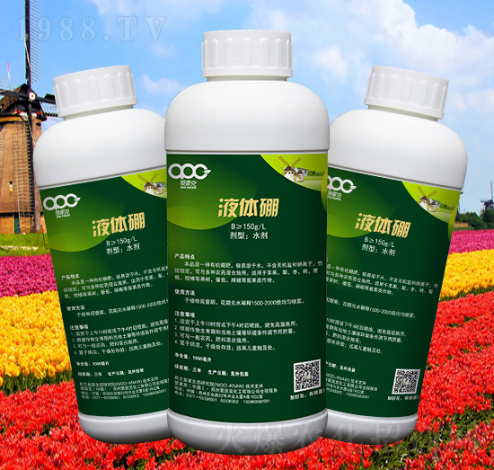 Һ�w��-���ɿ�