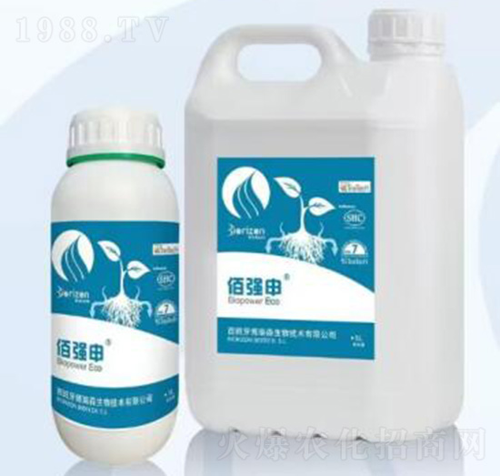 佰強(qiáng)申-?？颂m德