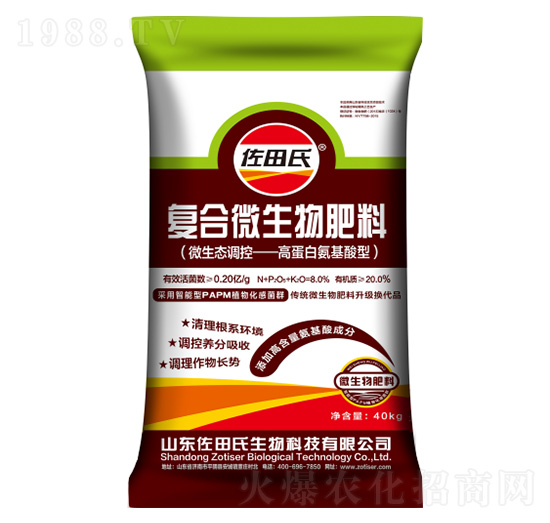 �ߵ��װ������͏ͺ�΢�������-������