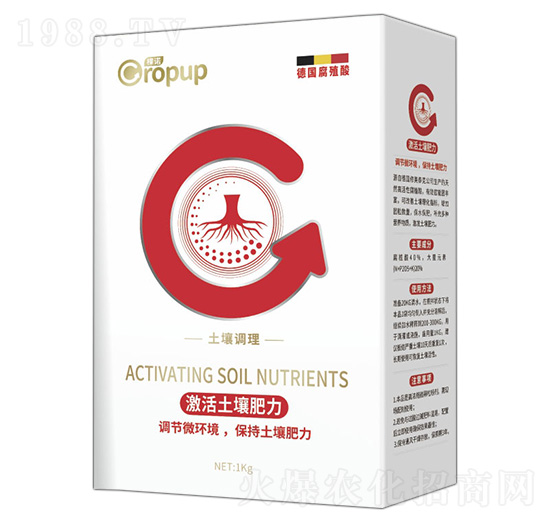 �����{����~���-���Z-�ƈD�ع�