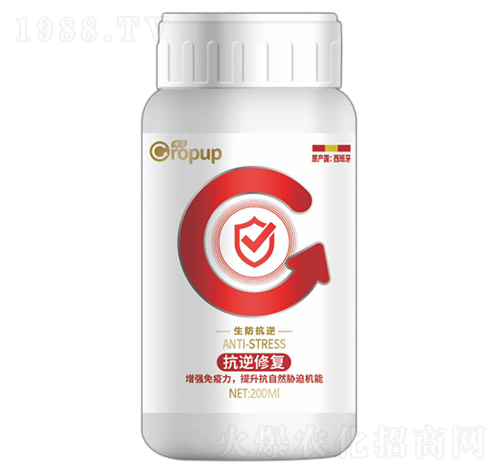 ���������(l��i)�~���-���Z-�ƈD�ع�