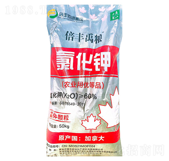 �r(n��ng)�I(y��)���Ȼ�⛣����w�w����-���S���Z-���S�r(n��ng)�I(y��)