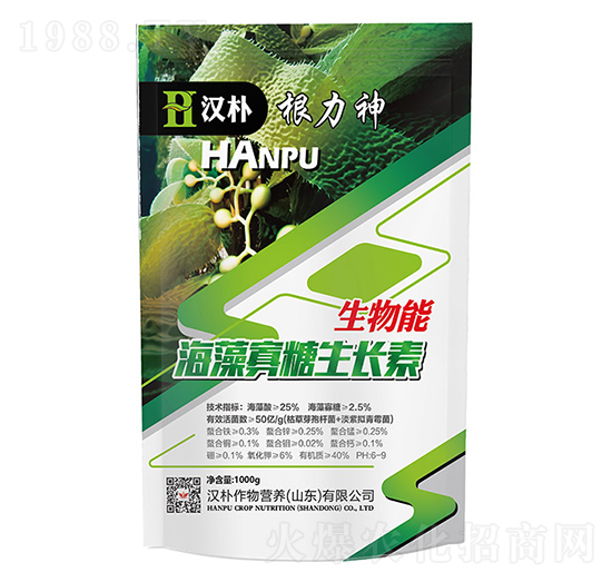 ����������L(zh��ng)��-������-�h��