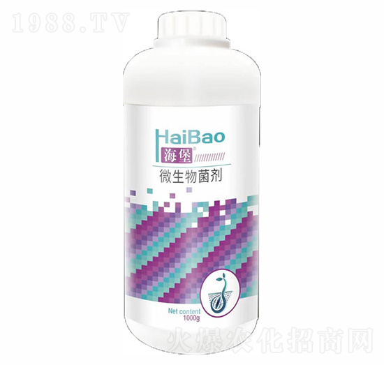 1000g΢�������-����-������