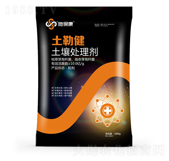 ����̎�턩-���ս�-ʩ����