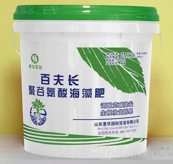 �۹Ȱ��ả���-�ٷ��L-���A���H