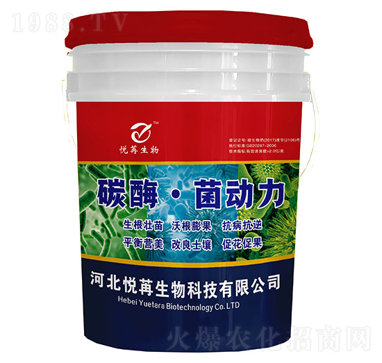 ̼ø����(d��ng)��-����