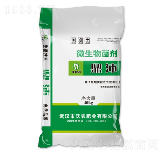 ΢�������-����-���r�ʘI(y��)