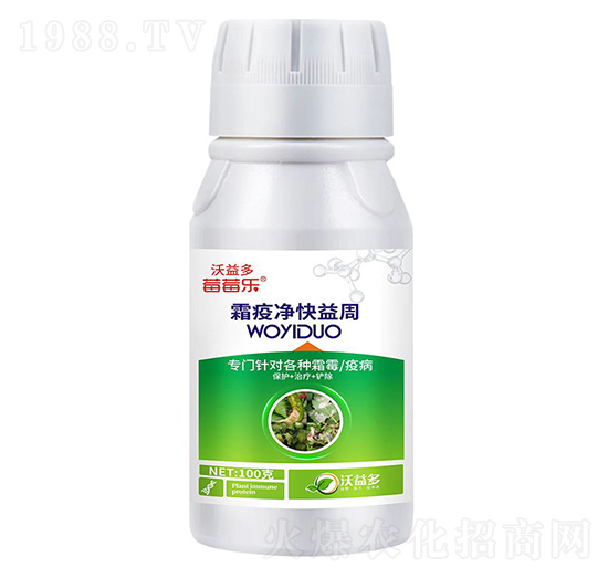 ˪�߃�������-ݮݮ��-�����