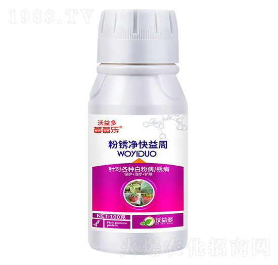 ���P��������-ݮݮ��-�����