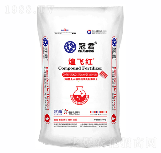 ���w�t-�ھ�-ס�̇��H