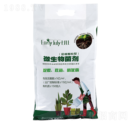 (�ٸ��w����)΢�������-������