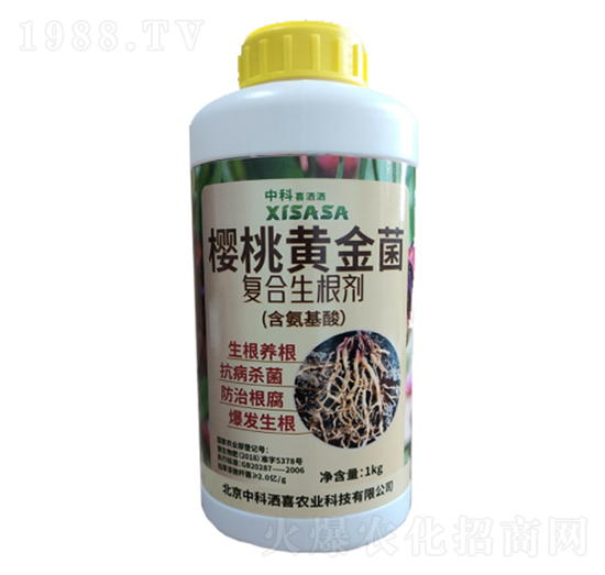 ���Ҍ����S�����(f��)��������-�пƞ�ϲ