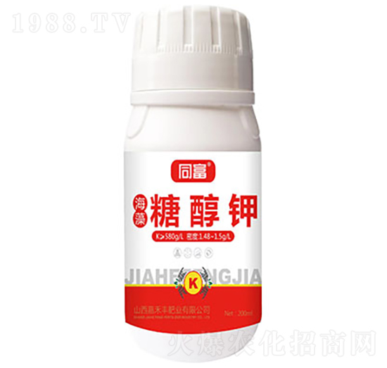 �����Ǵ��-ͬ��-�κ��S