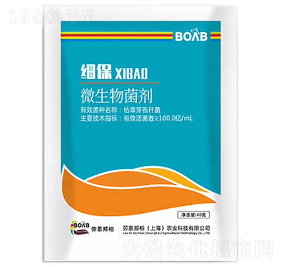 ��(x��)��΢�������-�ڶ����