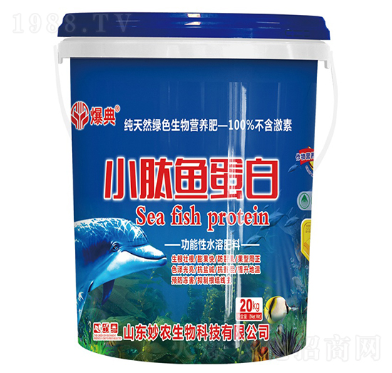 С���~(y��)����-����-���r(n��ng)����