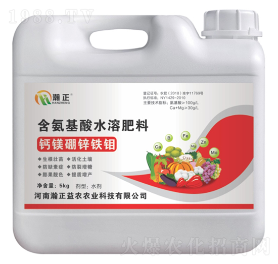 �}�V���\�F�f-������r