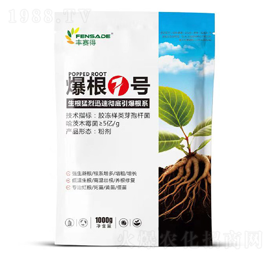 ����1̖-�Sِ��