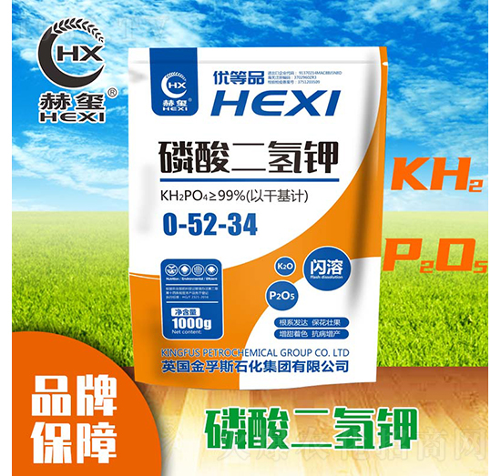 ��������-�խt