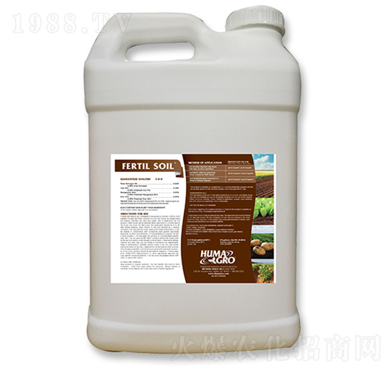 ����-����