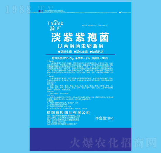 �������߾�-��l(w��i)-����r(n��ng)�I(y��)