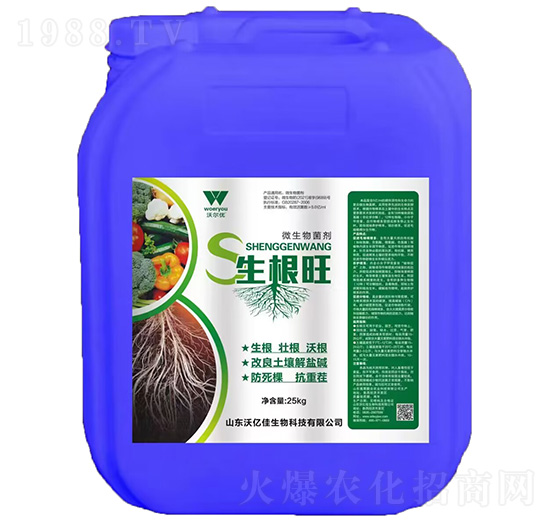 ������΢�������-�֠���(y��u)