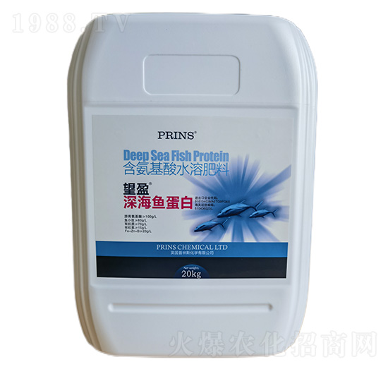 ��ӯ��~����