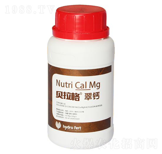 ؐ������}-�������