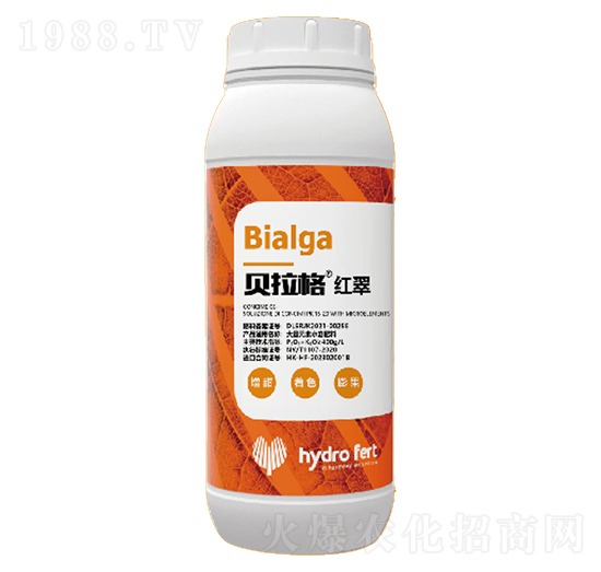 ؐ����t��-�������