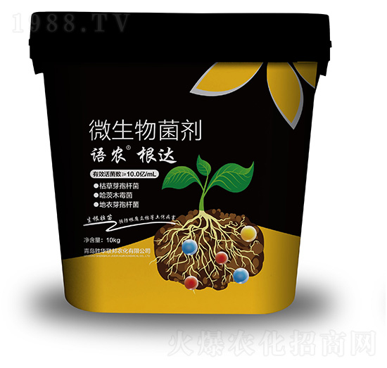 ���_(d��)΢�������-�Z�r(n��ng)-���A(li��n)��