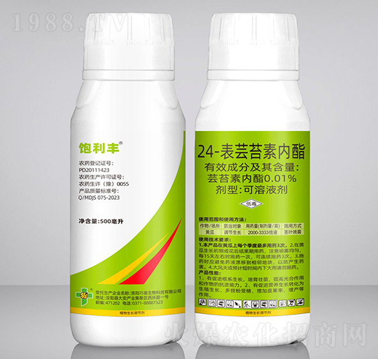 24-���|̦�؃���-����S-��ϲ