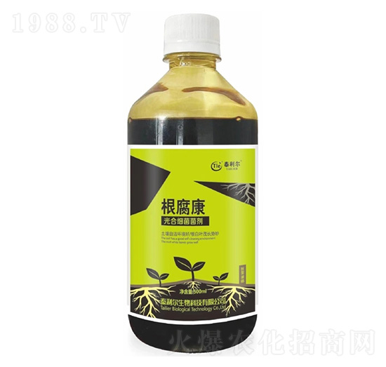 ��ϼ�(x��)������-������-̩����